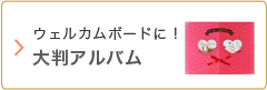 大容量の大判アルバムはこちら