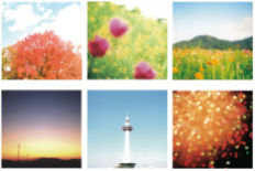 yadaniceの商品イメージ