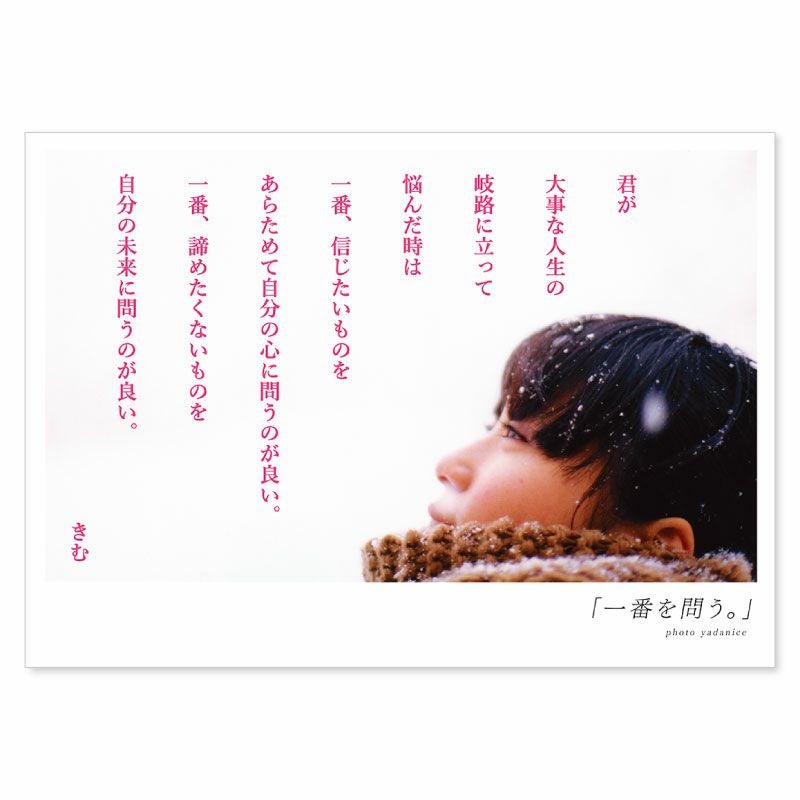 000000000247-01.jpg?size=m&w=