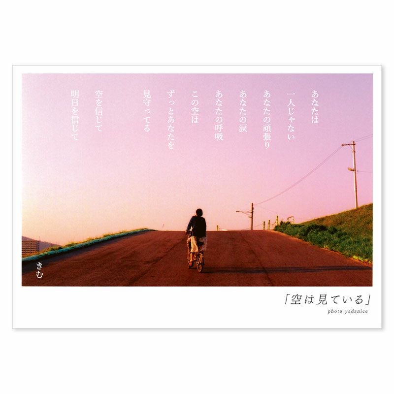 きむ ポストカード4枚セット 000000000248-01.jpg?size=l&w=