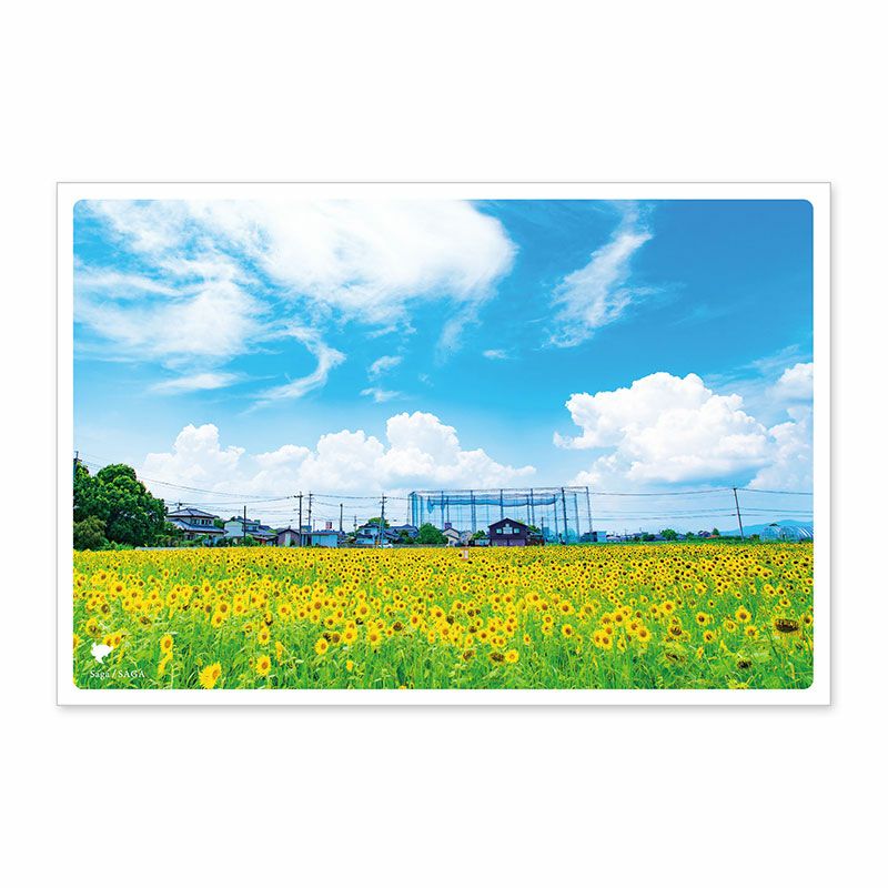 2019日本の絶景ポストカード「夏」 4枚セット | いろはショップオンライン