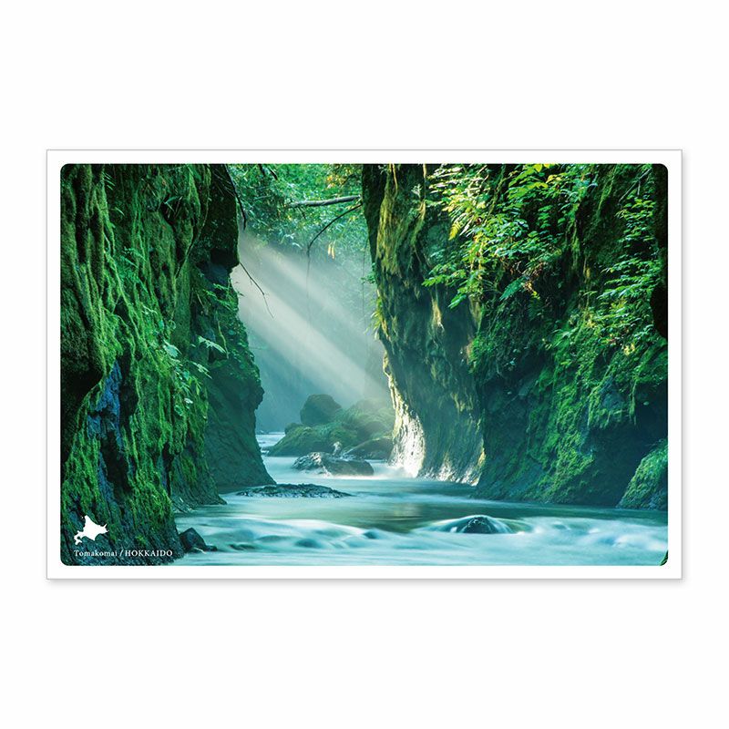 000000000360-01.jpg?size=l&w=