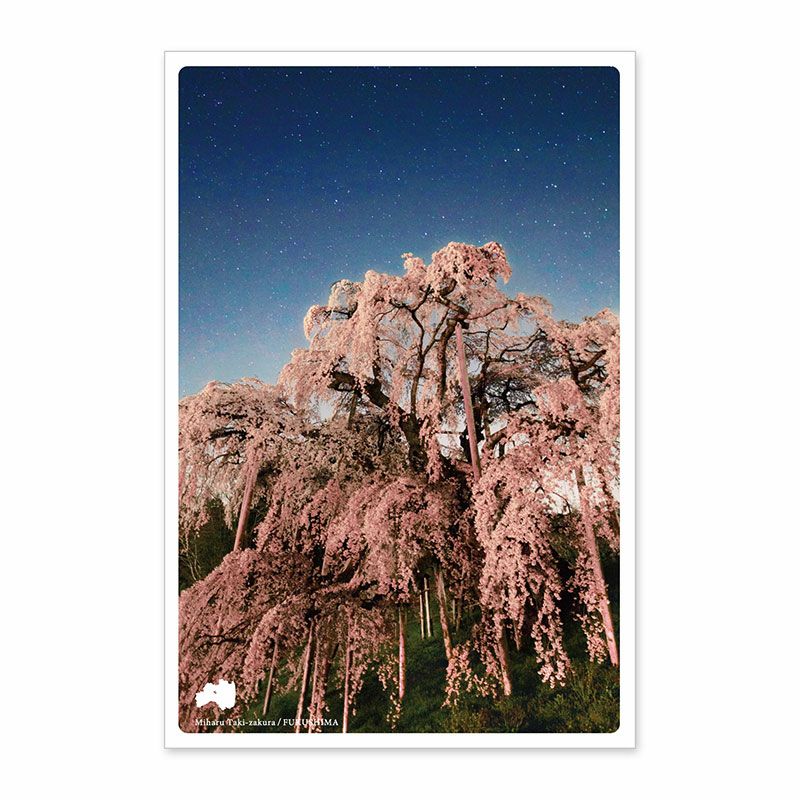 日本の絶景ポストカード ～夏～ 今宮の茶畑/静岡県 | いろはショップ