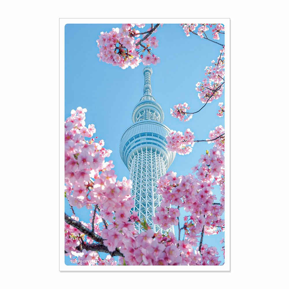 今宵かぎりは…('72スイス) 解説リーフレット/ポストカード付き 日本の絶景ポストカード ～春～ 東京スカイツリー/東京 | いろは