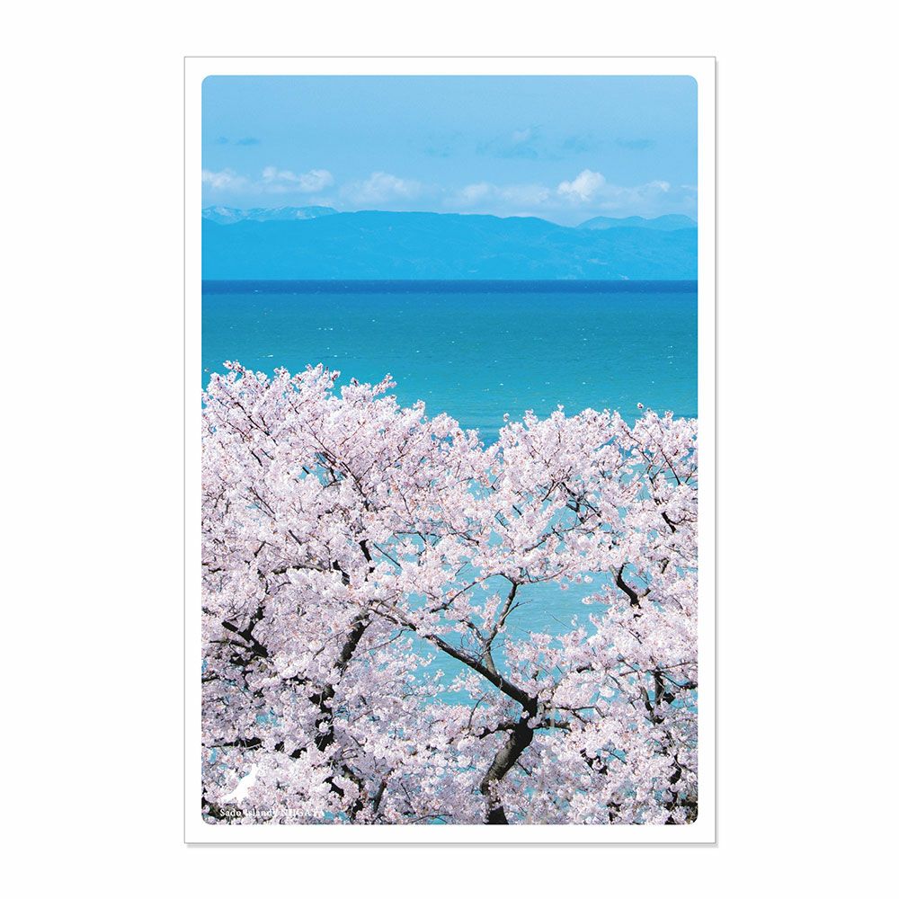 日本の絶景ポストカード ～春～ 佐渡島/新潟 | いろはショップオンライン