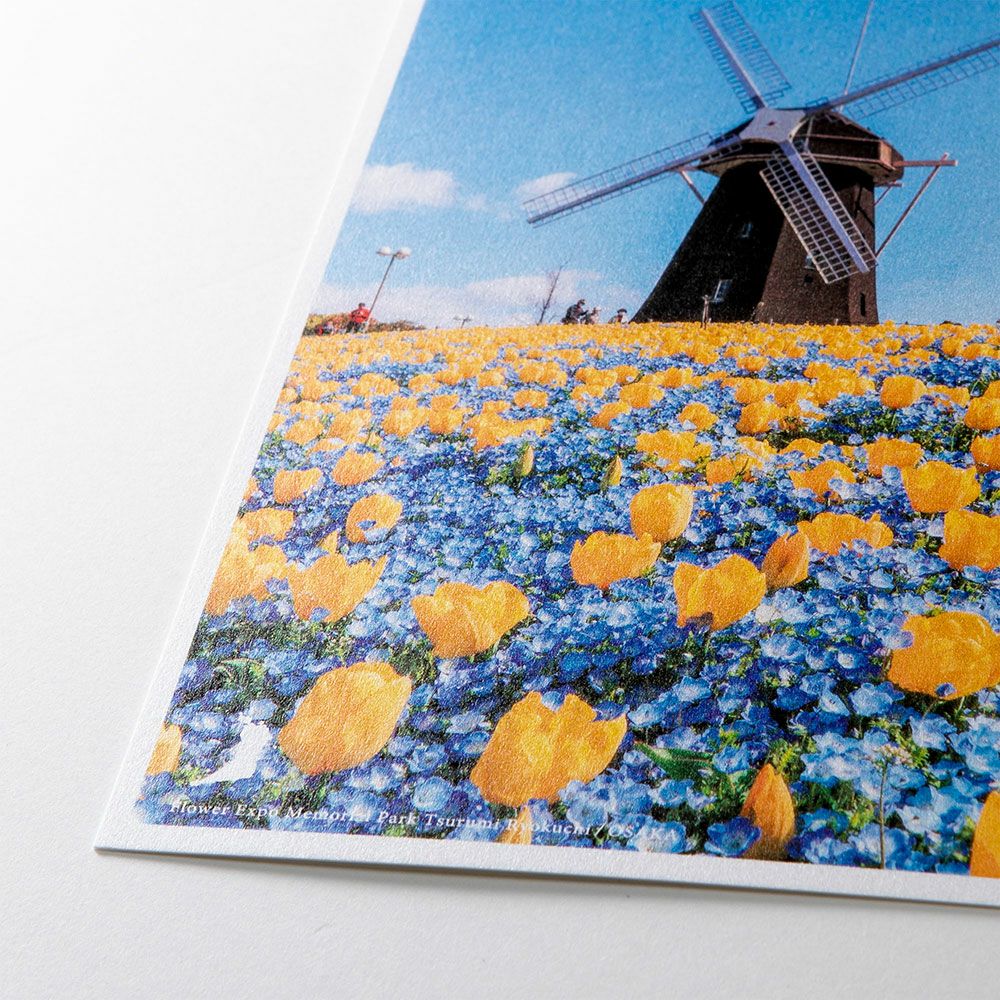 日本の絶景ポストカード ～春～ 花博記念公園鶴見緑地/大阪 | いろは