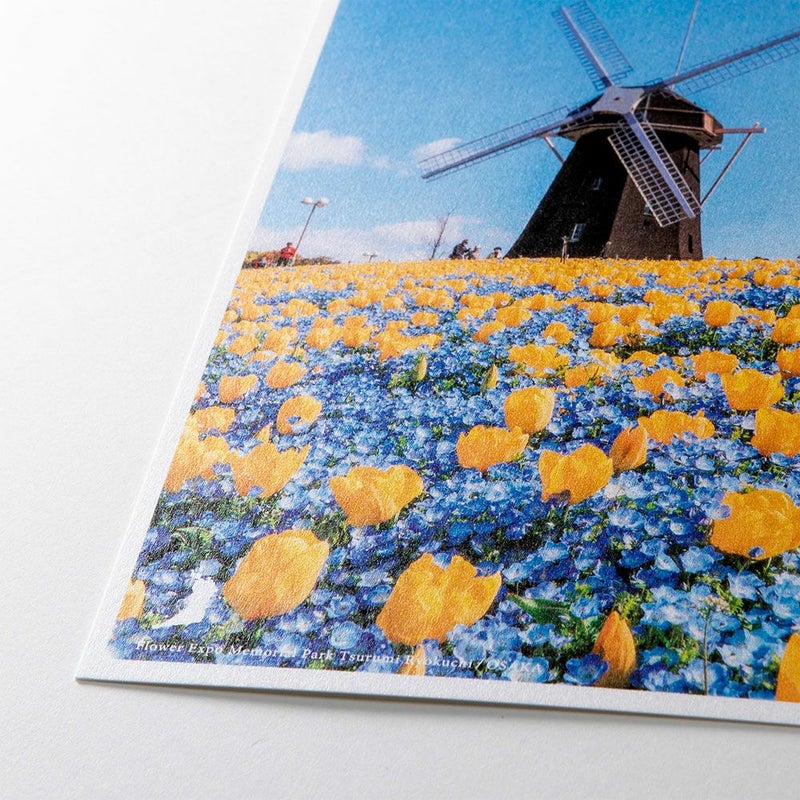 日本の絶景PC_JPC-95_花博記念公園鶴見