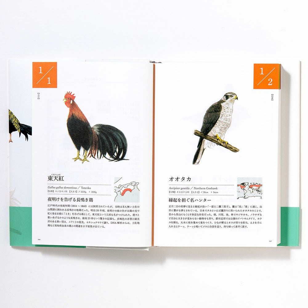 サイン本あり】366日の誕生鳥辞典 ー世界の美しい鳥ー | いろは