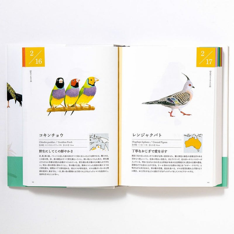 366日の誕生鳥辞典_ｻｲﾝ本