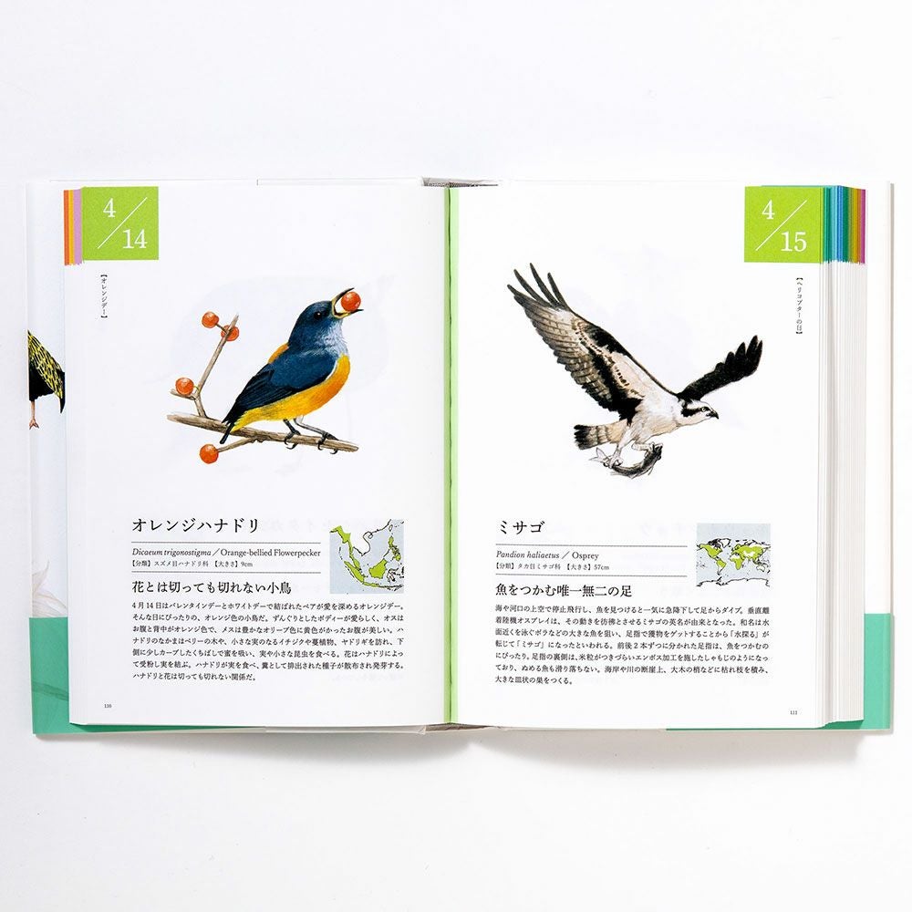 サイン本あり】366日の誕生鳥辞典 ー世界の美しい鳥ー | いろは