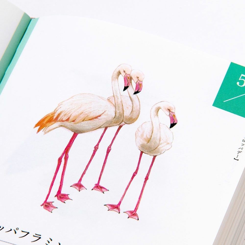 サイン本あり】366日の誕生鳥辞典 ー世界の美しい鳥ー | いろは