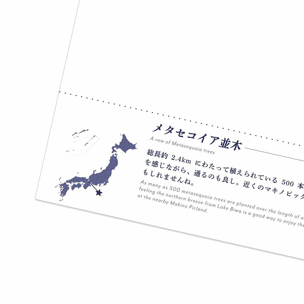日本の絶景ポストカード ～夏～ メタセコイア並木/滋賀 | いろは