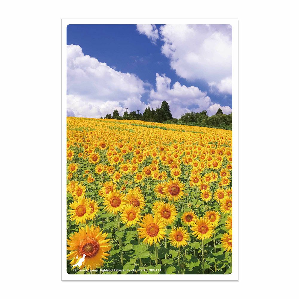 日本の絶景ポストカード ～夏～ 山本山高原 沢山ポケットパーク/新潟