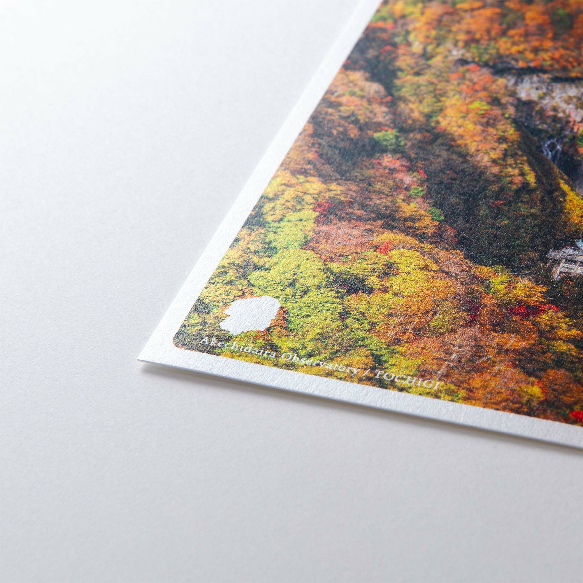 日本の絶景ポストカード ～秋～ 明智平展望台/栃木 | いろはショップ