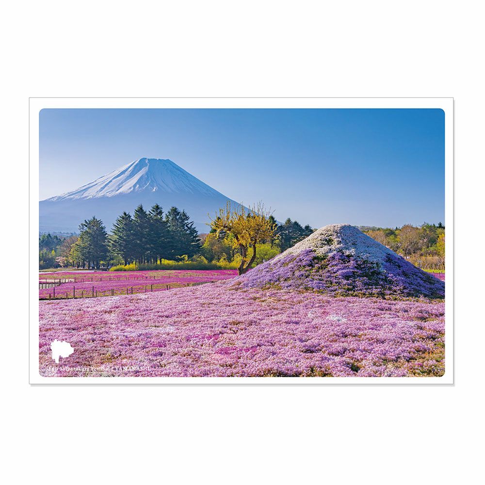 日本の絶景ポストカード ～春～ 富士芝桜まつり/山梨 | いろはショップ