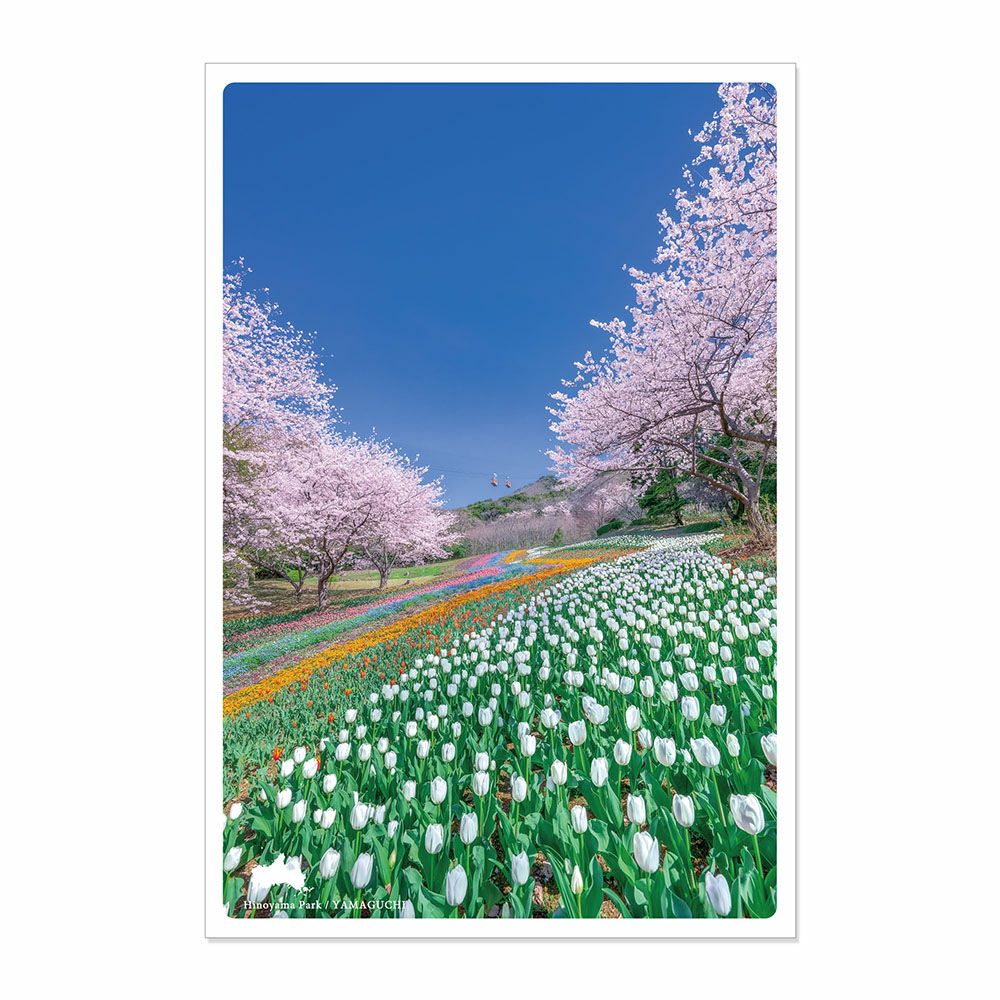 日本の絶景ポストカード ～春～ 火の山公園/山口 | いろはショップ