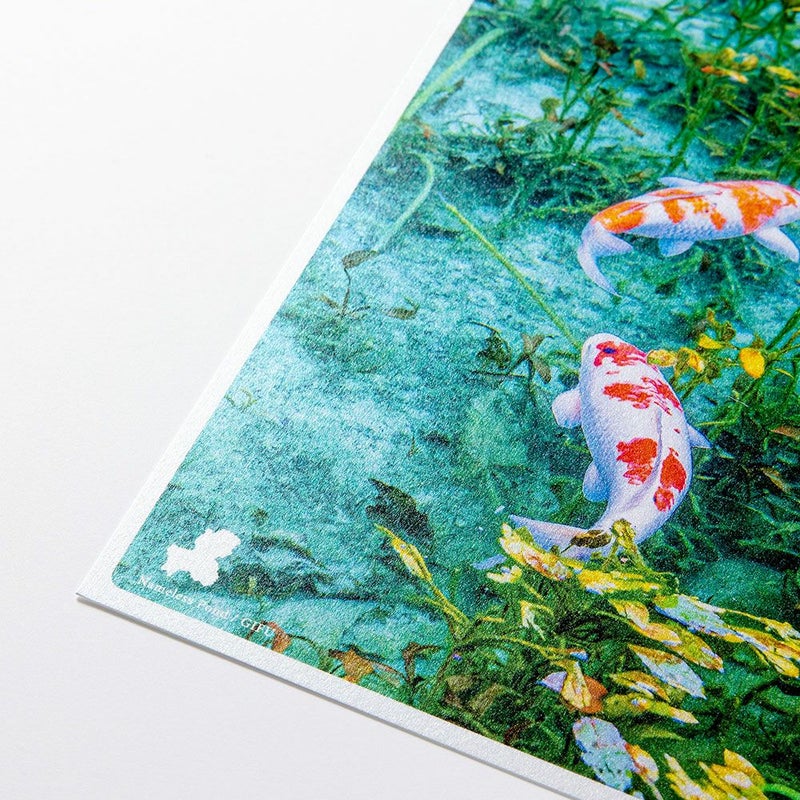 日本の絶景PC_JPC-119_名もなき池