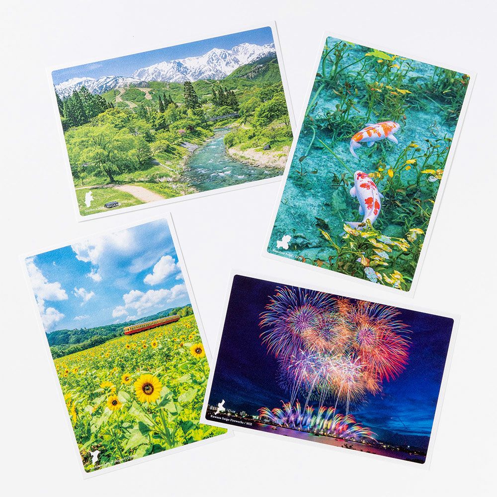 【新品】TASCHEN PIN-UPS ポストカード100 日本の絶景ポストカード ～夏～ 石神のひまわり畑/千葉 | いろは