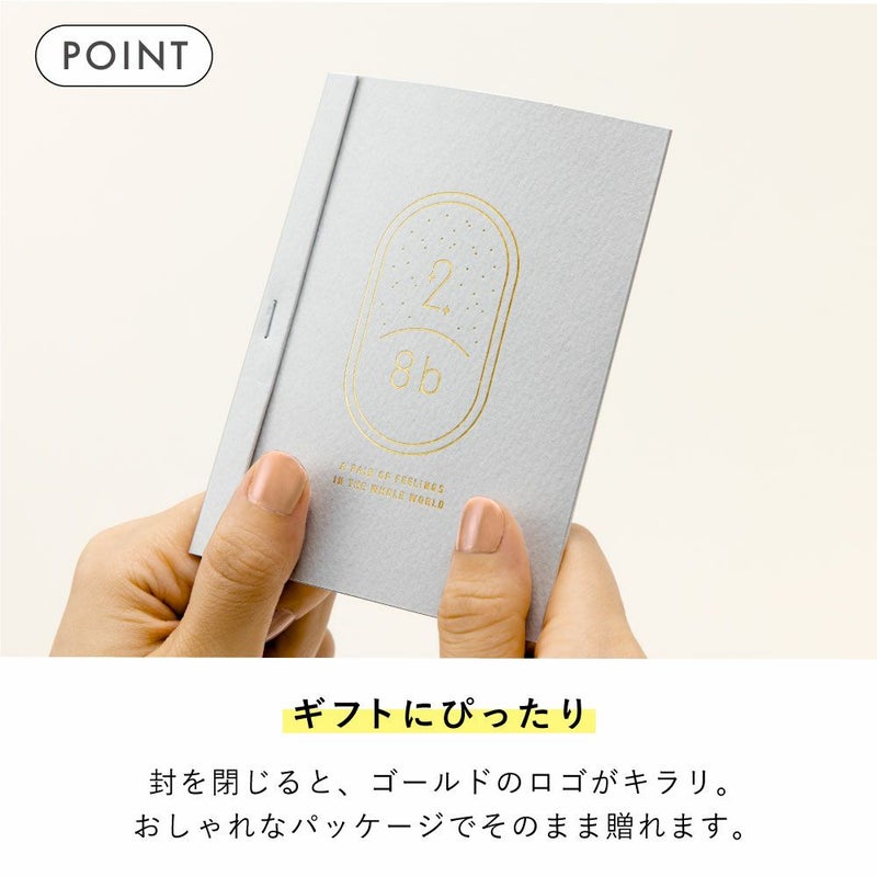 2/8b_AQUARIUM_ver._GKBQ