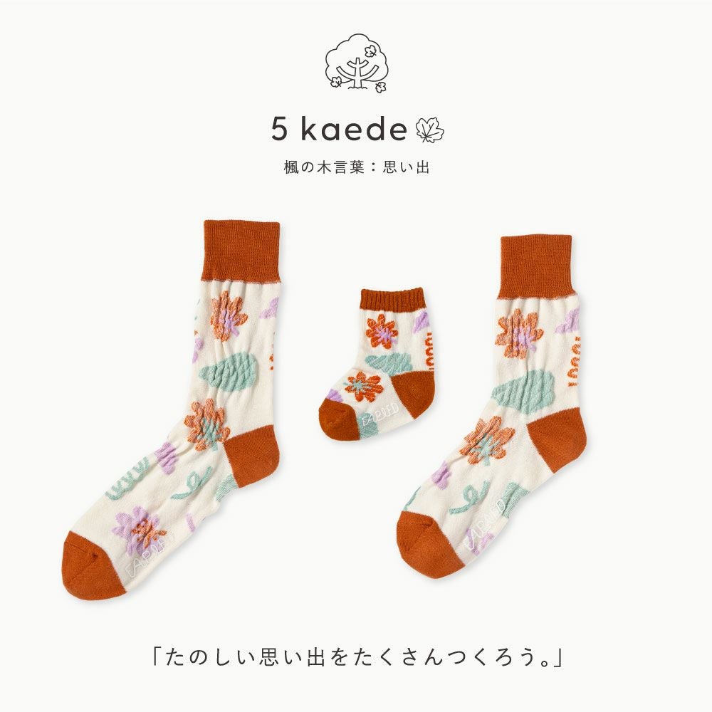 FAPIEDファミリーソックスセット | いろはショップオンライン