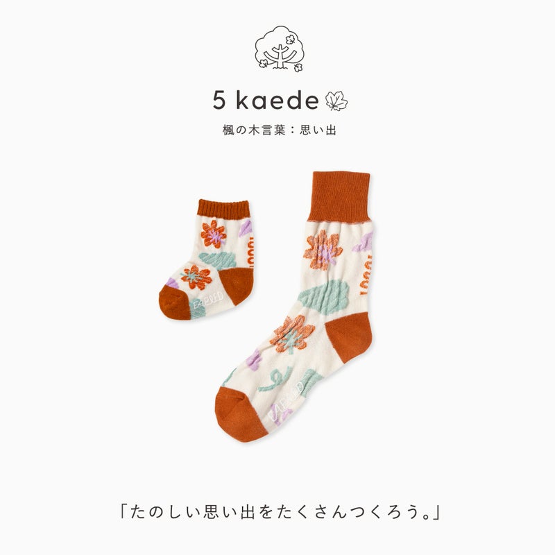 FAPIEDファミリーソックスセット（7-10cm,23-25cm,25-27cm）