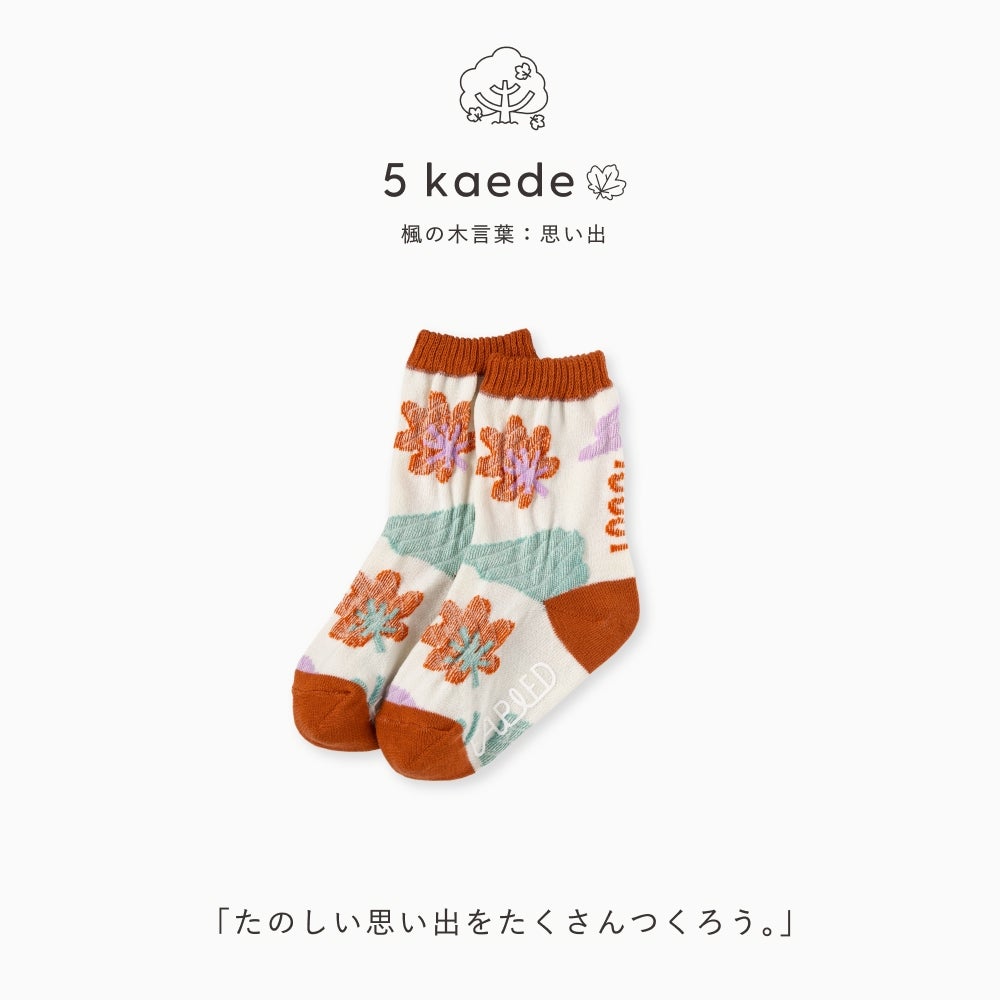 FAPIEDセット専用【追加用】ソックス ベビー/ キッズサイズ | いろは
