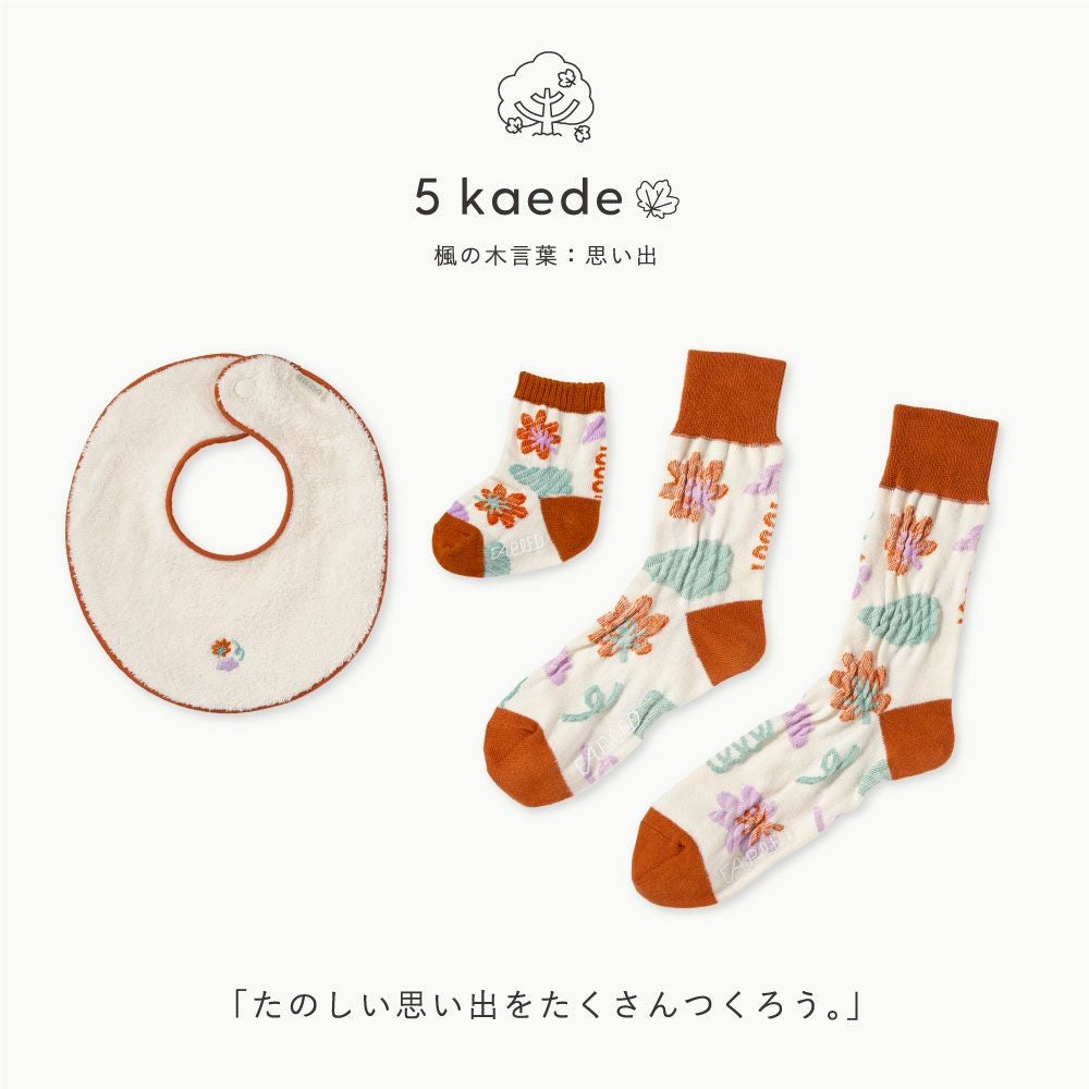FAPIEDファミリーソックス+スタイセット | いろはショップオンライン