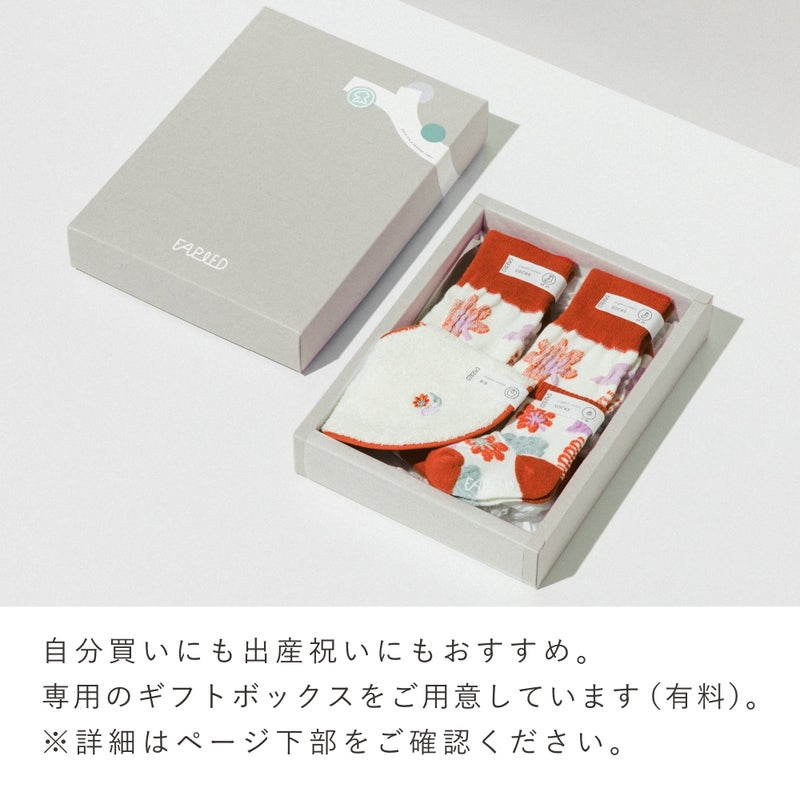 FAPIEDファミリーソックス+スタイセット（7-10cm,23-25cm,25-27cm）
