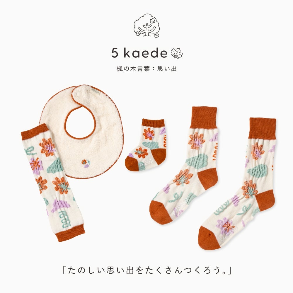 FAPIEDファミリーソックス + スタイ +レッグウォーマーセット | いろは