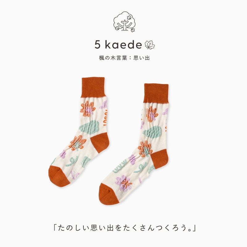 FAPIED_ペアソックスセット（23-25cm,25-27cm）