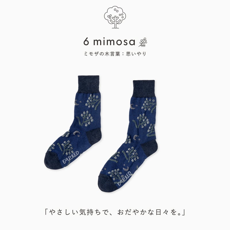 FAPIED_ペアソックスセット（23-25cm,25-27cm）