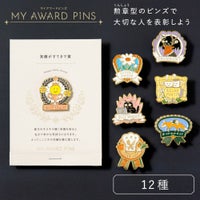 MY_AWARD_PiNS_GMAP