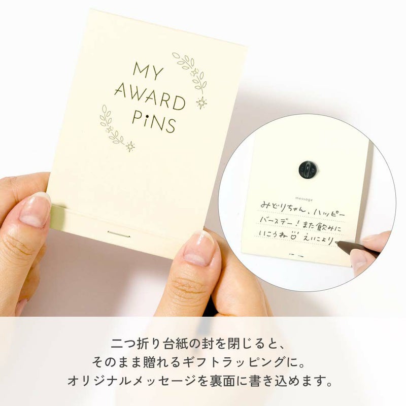 MY_AWARD_PiNS_JPN_GMAP-J