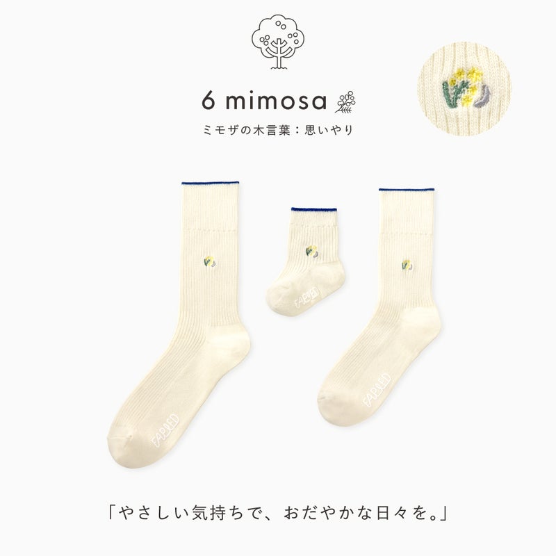FAPIEDファミリー【ワンポイント】ソックスセット（7-10cm,23-25cm,25-27cm）
