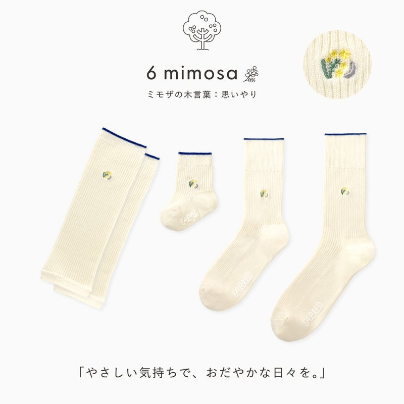 FAPIEDファミリー【ワンポイント】ソックス+レッグウォーマーセット（7-10cm,23-25cm,25-27cm）
