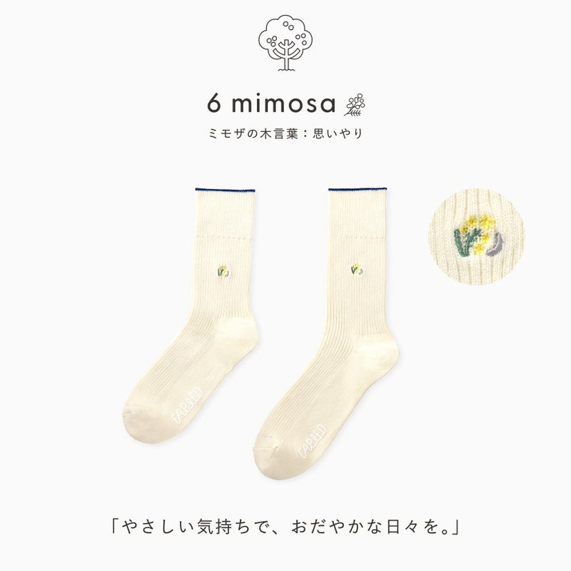 FAPIED_ペア【ワンポイント】ソックスセット（23-25cm,25-27cm）