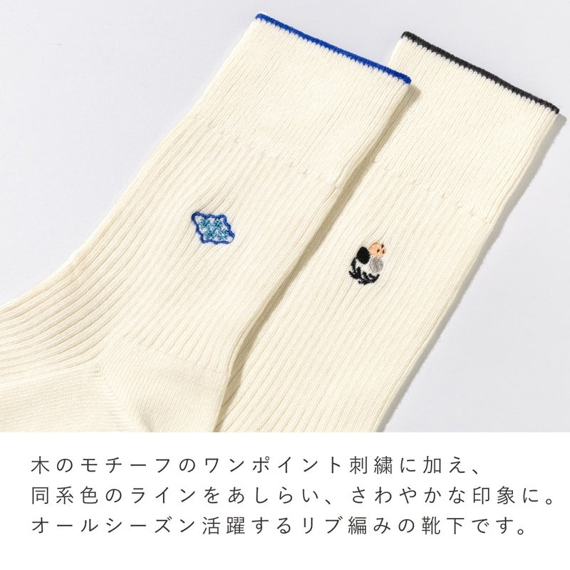 FAPIED_ペア【ワンポイント】ソックスセット（23-25cm,25-27cm）